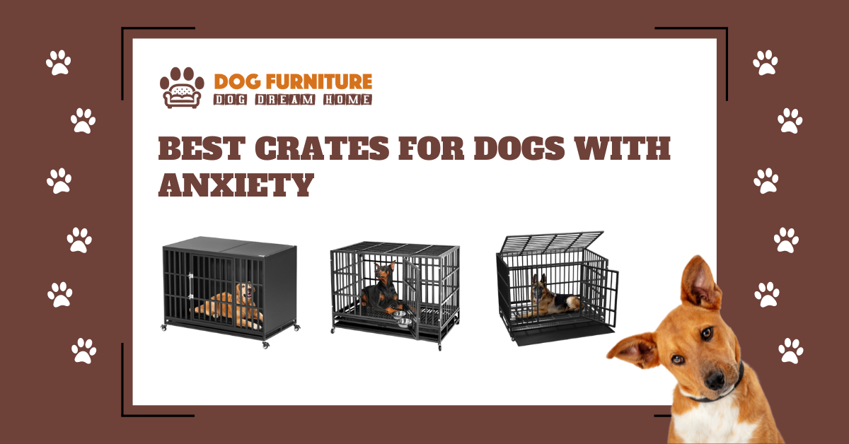 Read more about the article Best Crates For Dogs With Anxiety