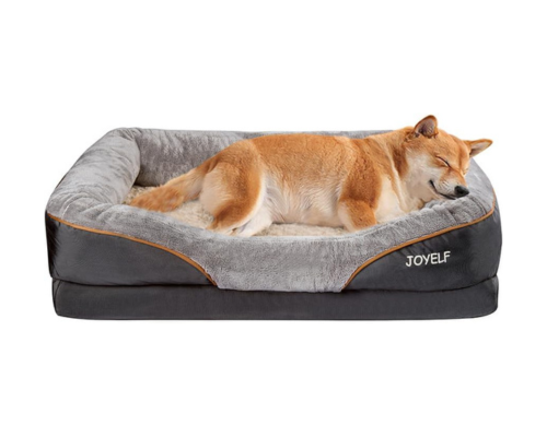 best dog bed for senior dog