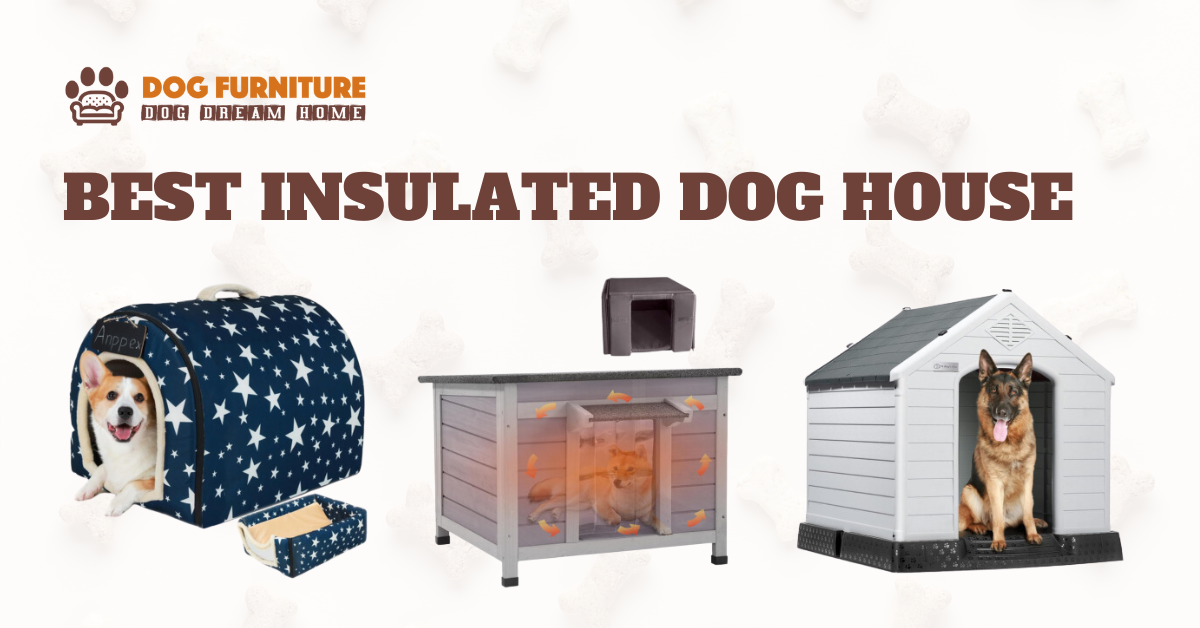 Read more about the article Best Insulated Dog House Under $100