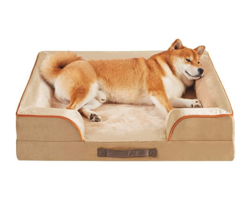 Best dog couch