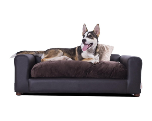 Best dog couch