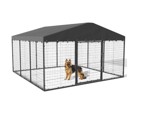 Best outdoor kennels for large dogs (1)