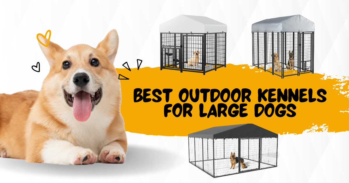 Read more about the article Best outdoor kennels for large dogs