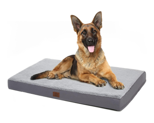 best dog bed for german shepherd