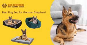 Read more about the article Best Dog Bed for German Shepherd