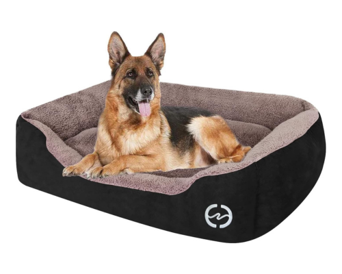 best dog bed for german shepherd