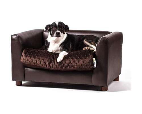 best sofas for dogs