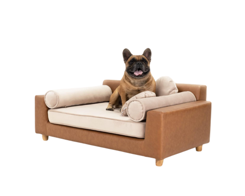 best sofas for dogs